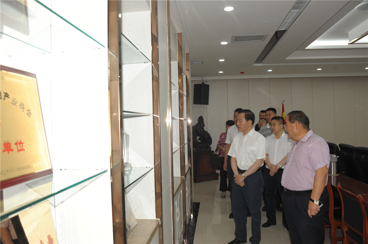 甘肃省委常委、副省长周学文一行莅临兰州36365线路检测中心集团考察调研